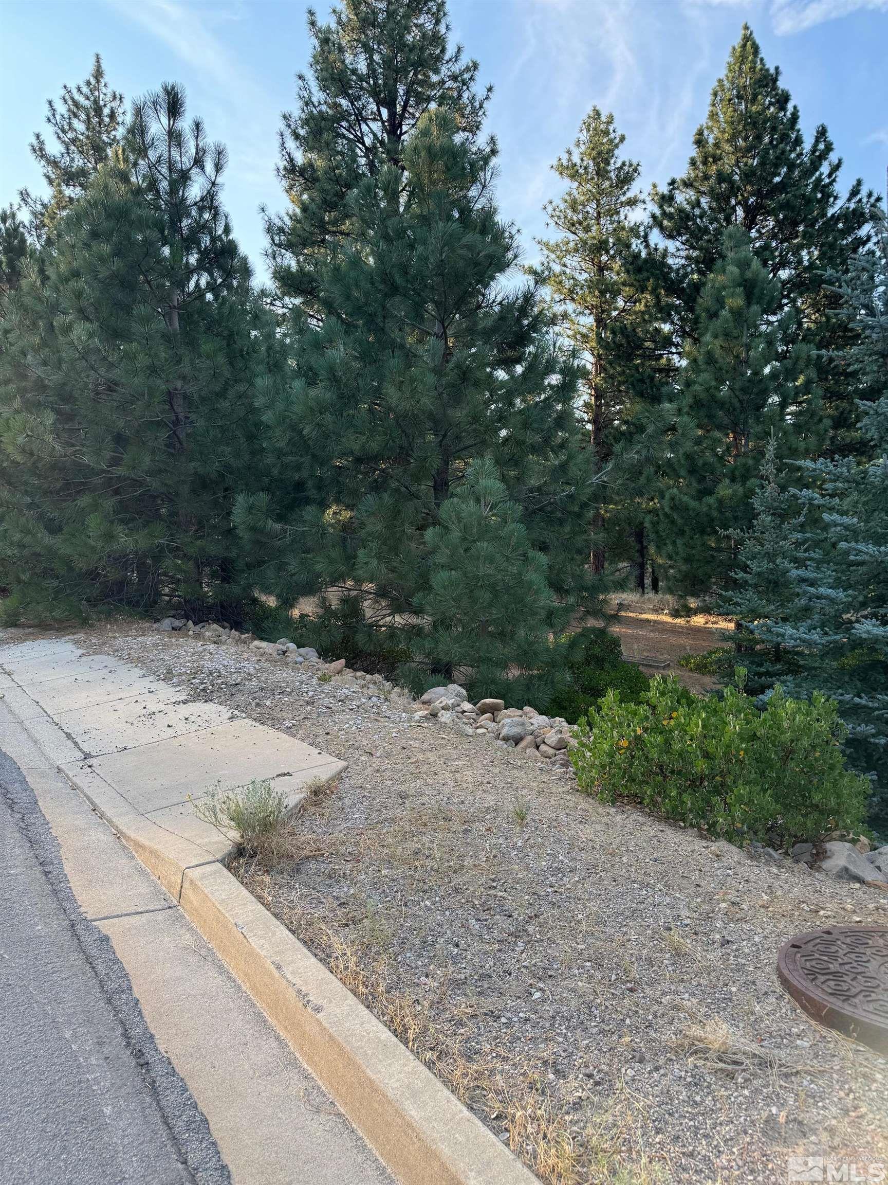 0 Joy Lake Road Reno, NV 89511 - Photo 18 of 19 Photo 18