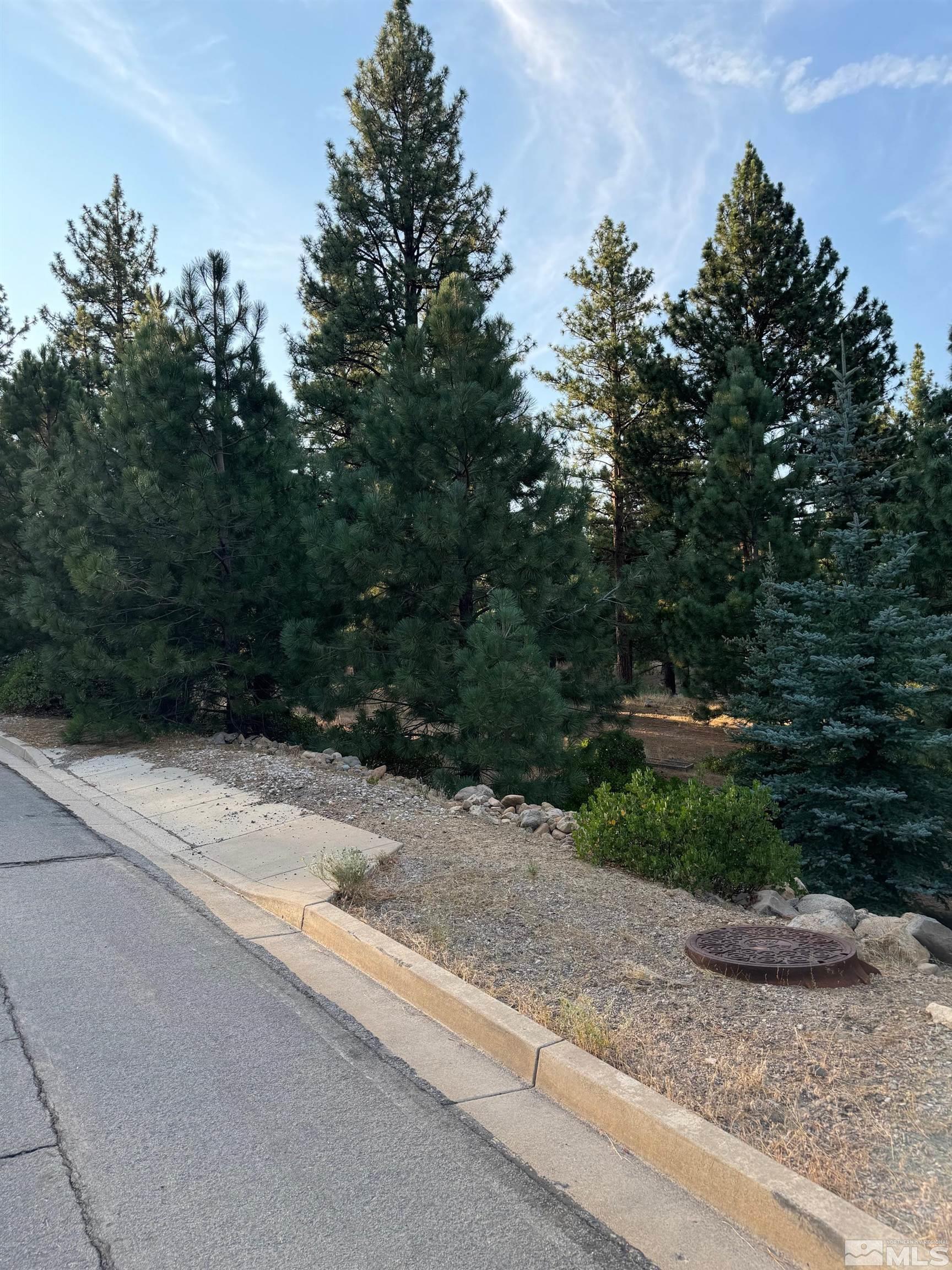 0 Joy Lake Road Reno, NV 89511 - Photo 19 of 19 Photo 19