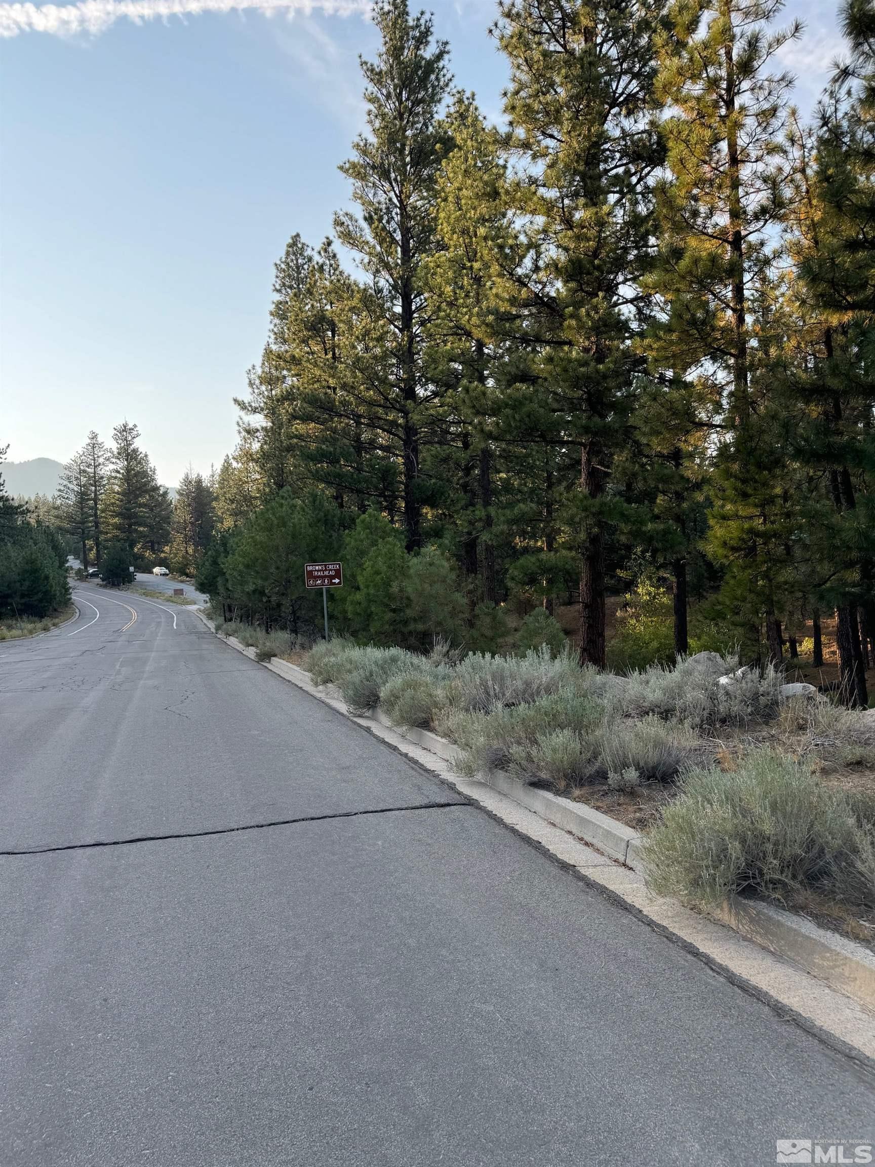0 Joy Lake Road Reno, NV 89511 - Photo 3 of 19 Photo 3