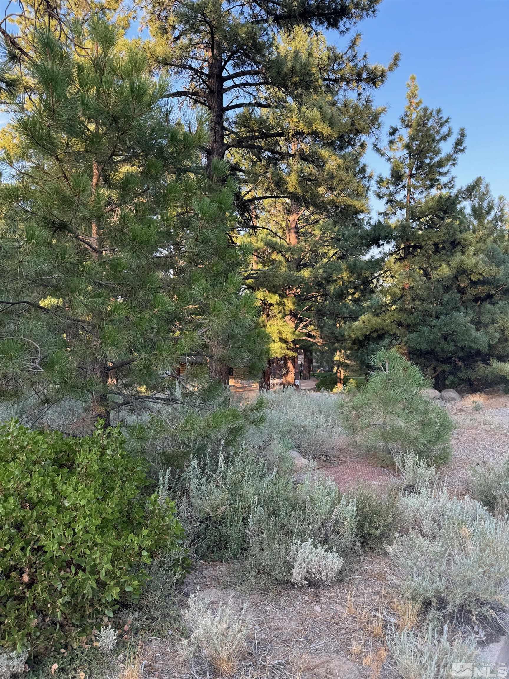 0 Joy Lake Road Reno, NV 89511 - Photo 4 of 19 Photo 4