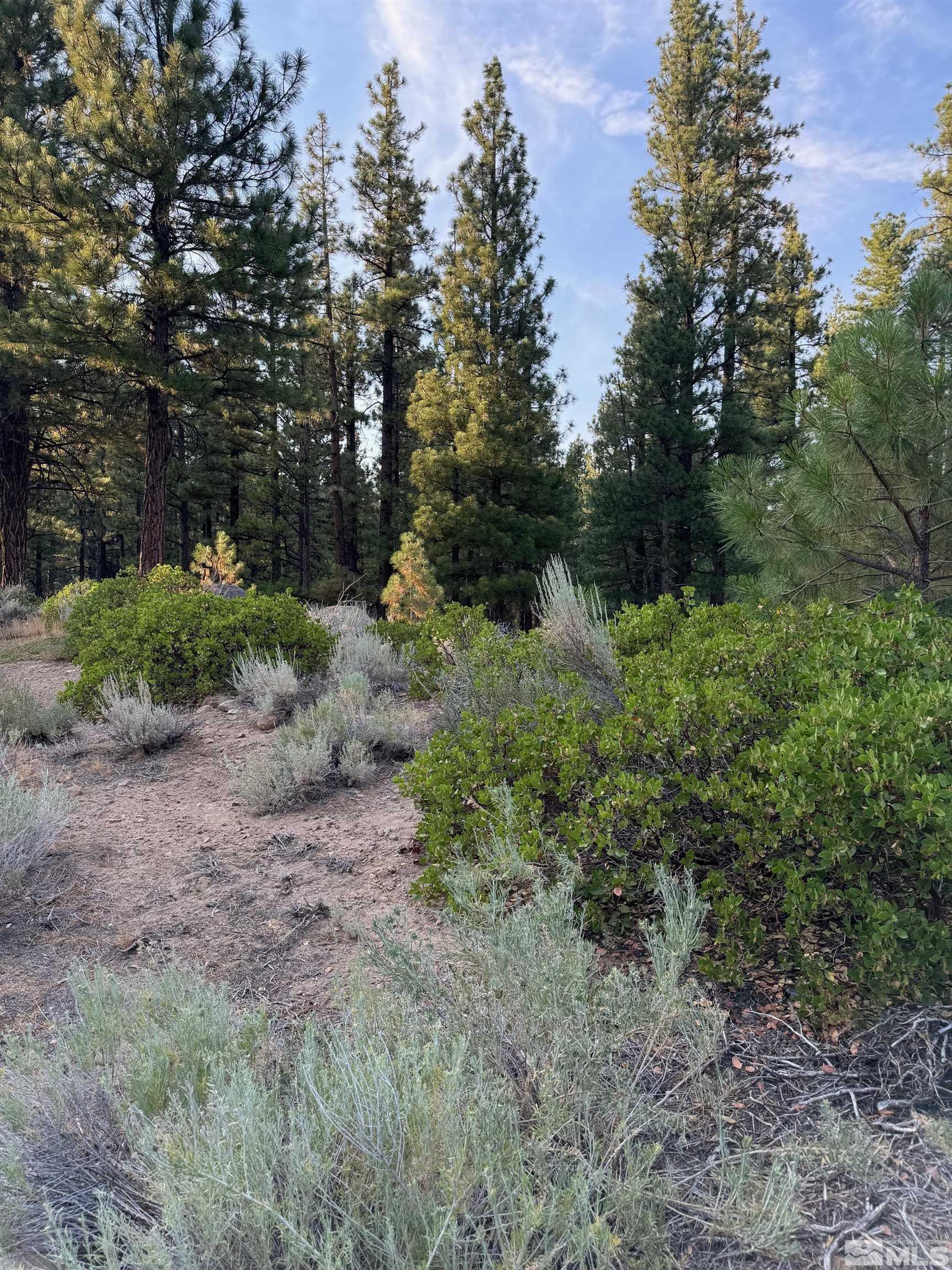 0 Joy Lake Road Reno, NV 89511 - Photo 5 of 19 Photo 5