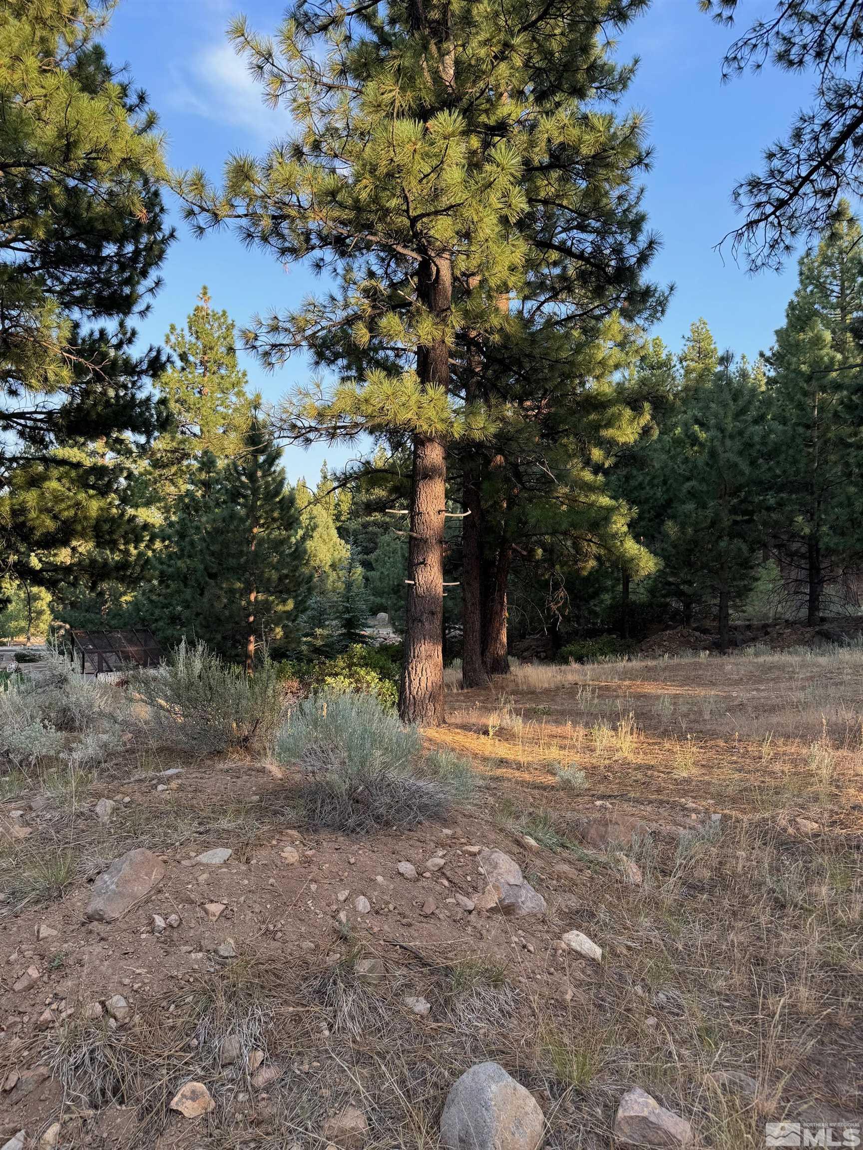 0 Joy Lake Road Reno, NV 89511 - Photo 6 of 19 Photo 6