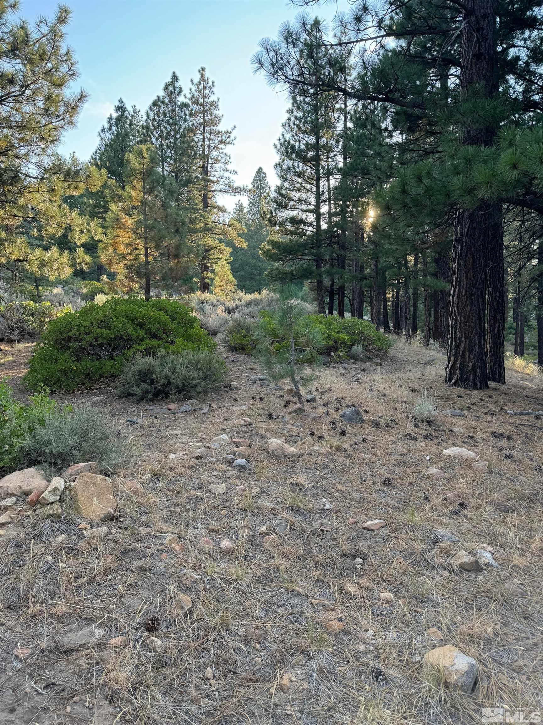 0 Joy Lake Road Reno, NV 89511 - Photo 7 of 19 Photo 7