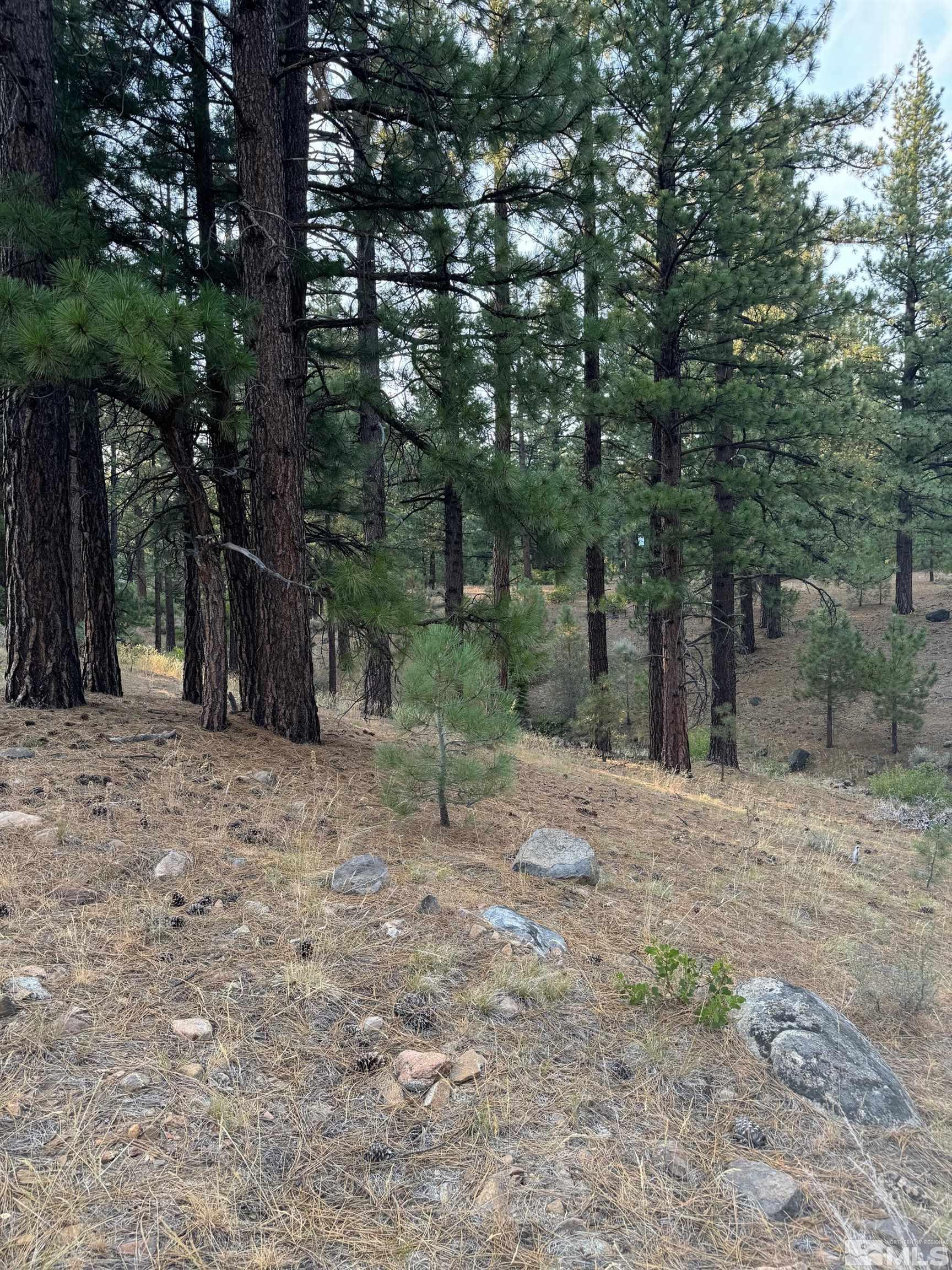 0 Joy Lake Road Reno, NV 89511 - Photo 8 of 19 Photo 8