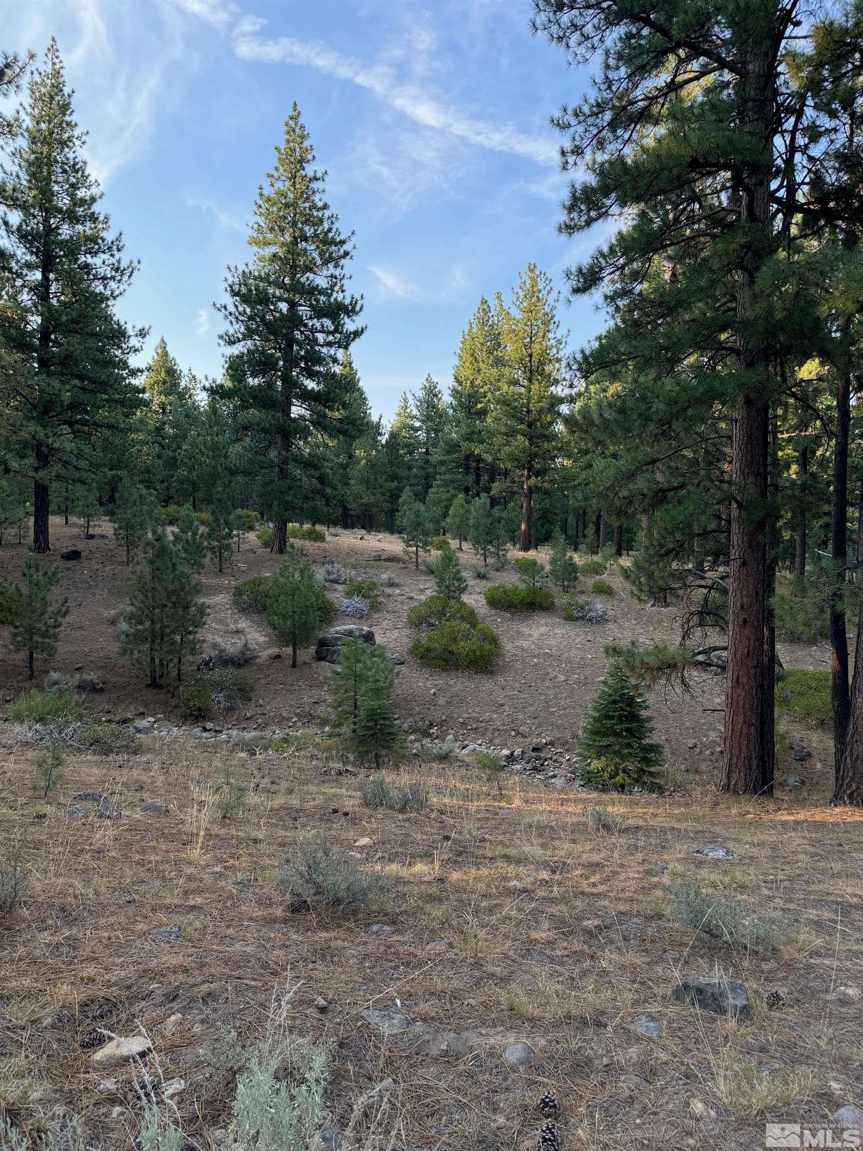 0 Joy Lake Road Reno, NV 89511 - Photo 9 of 19 Photo 9