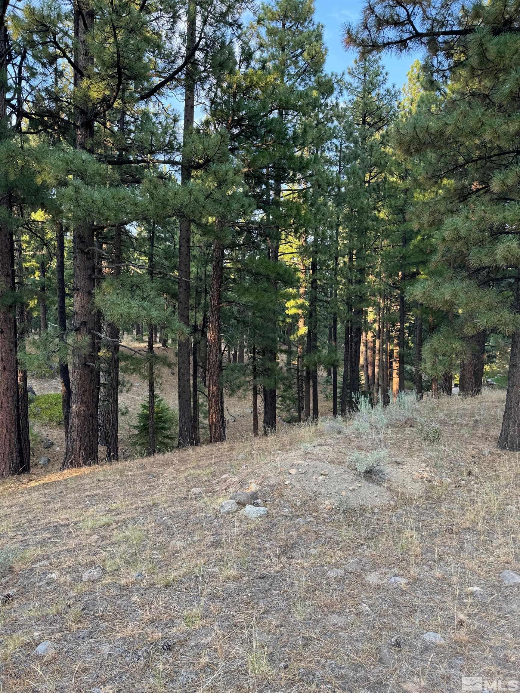 0 Joy Lake Road Reno, NV 89511 - Photo 10 of 19 Photo 10