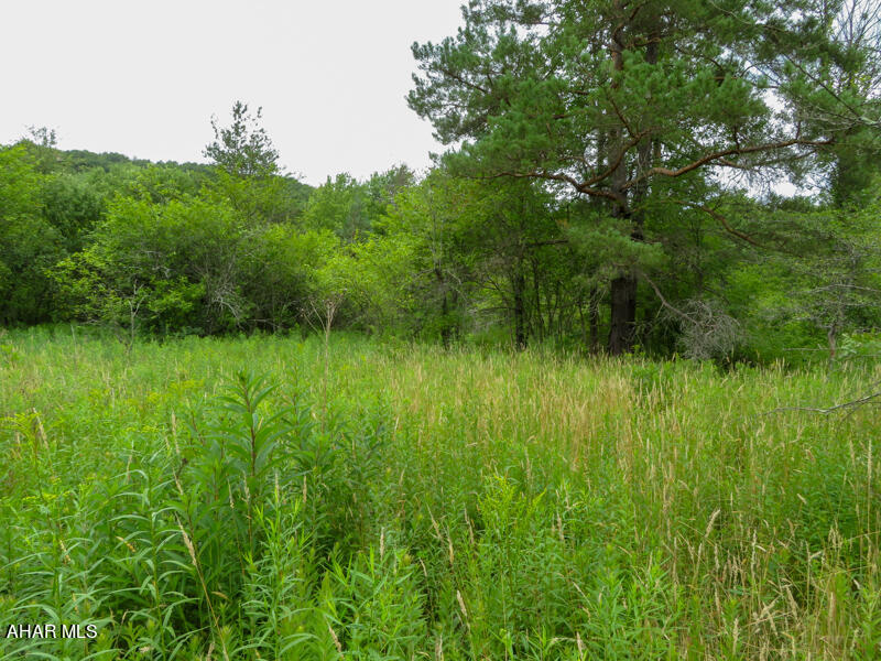 300-block 300-block Peaceful Valley Road Windber, PA 15963 - Photo 6 of 14 Gallery Image 6