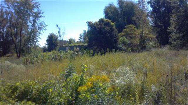 457 West Dean Road Temperance, MI 48182 - Photo 17 of 20 20390006-16.JPG