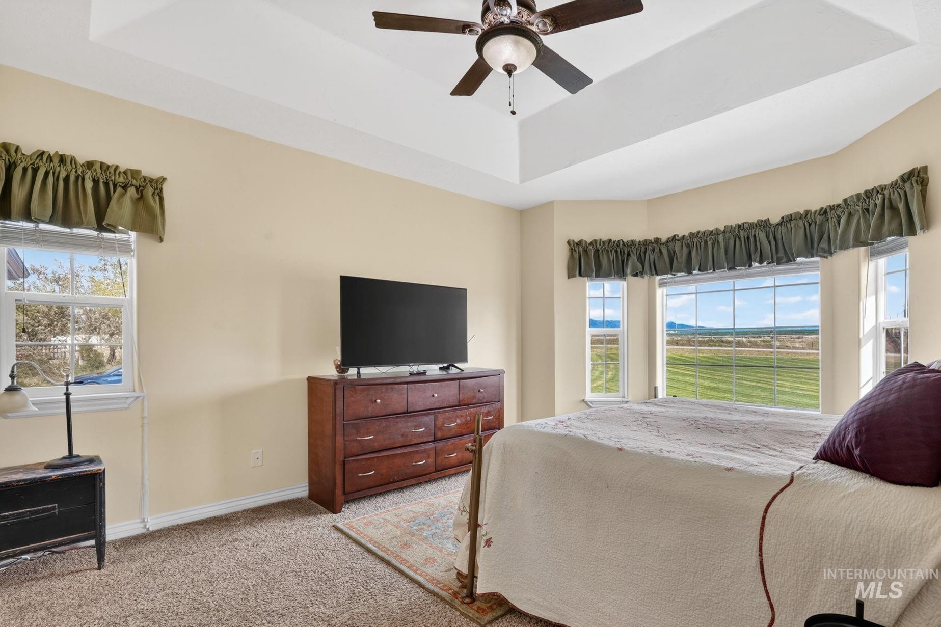3352 Neeley Road American Falls, ID 83211 - Photo 17 of 43 Bedroom featuring a tray ceiling, ceiling fan, and bay window with field scenery