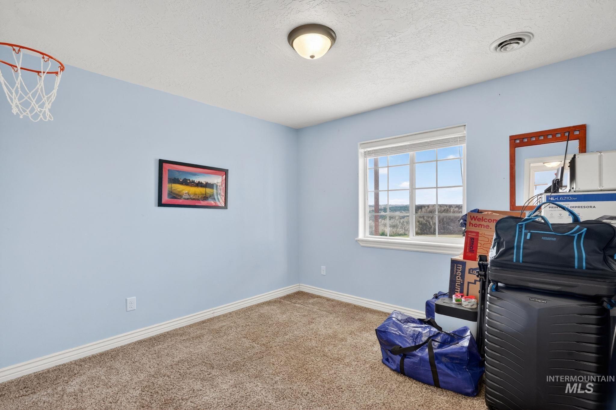 3352 Neeley Road American Falls, ID 83211 - Photo 24 of 43 Carpeted room with a double-pane window, baseboard molding, and a flush-mount ceiling light