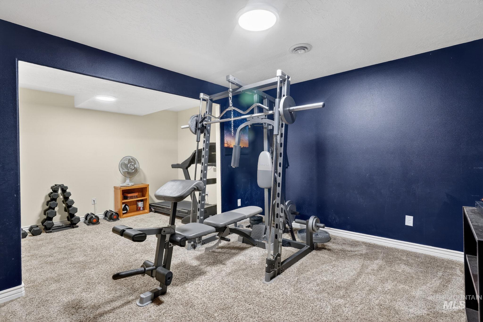 3352 Neeley Road American Falls, ID 83211 - Photo 27 of 43 Carpeted room featuring a dedicated fitness area or could be a theatre room.