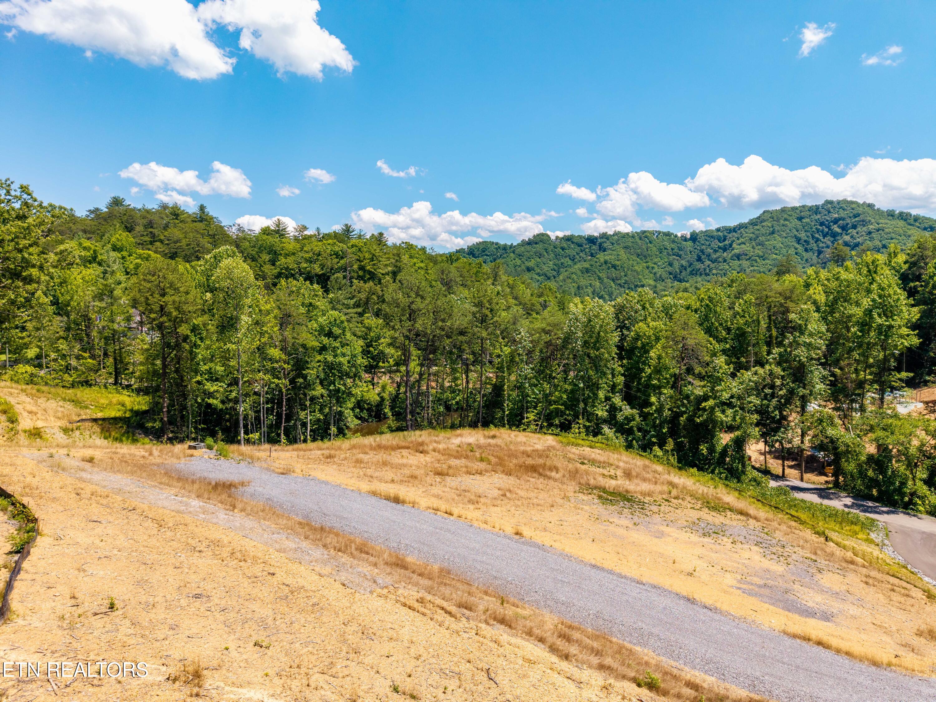 Waldens Creek Road Sevierville, TN 37862 - Photo 45 of 46 WaldensCreekRd-45