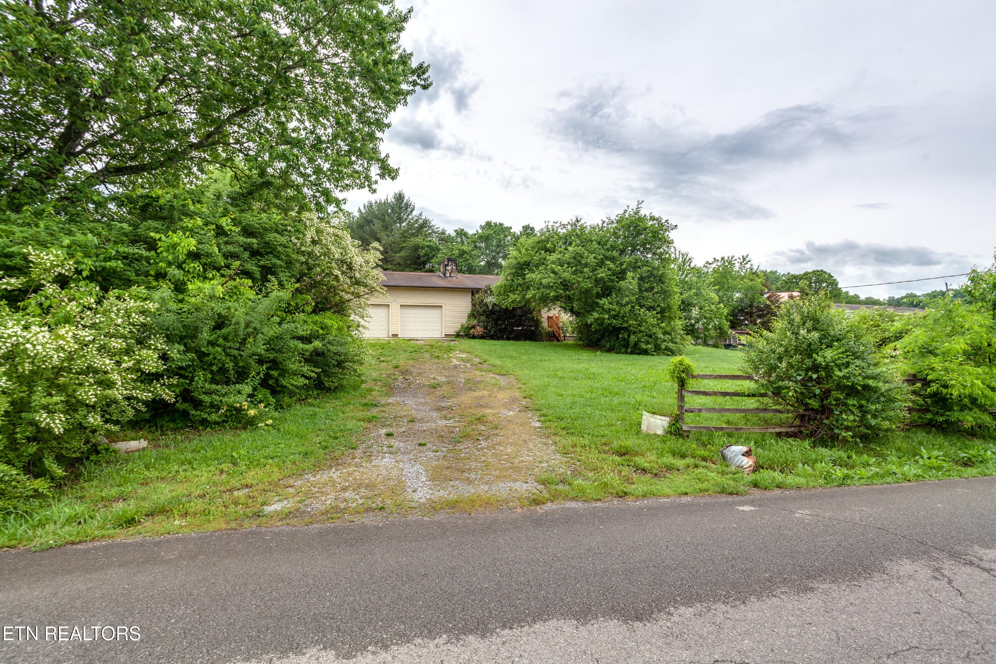 375 Rainbow Road Sevierville, TN 37862 - Photo 1 of 58 a view of a backyard with plants and large trees