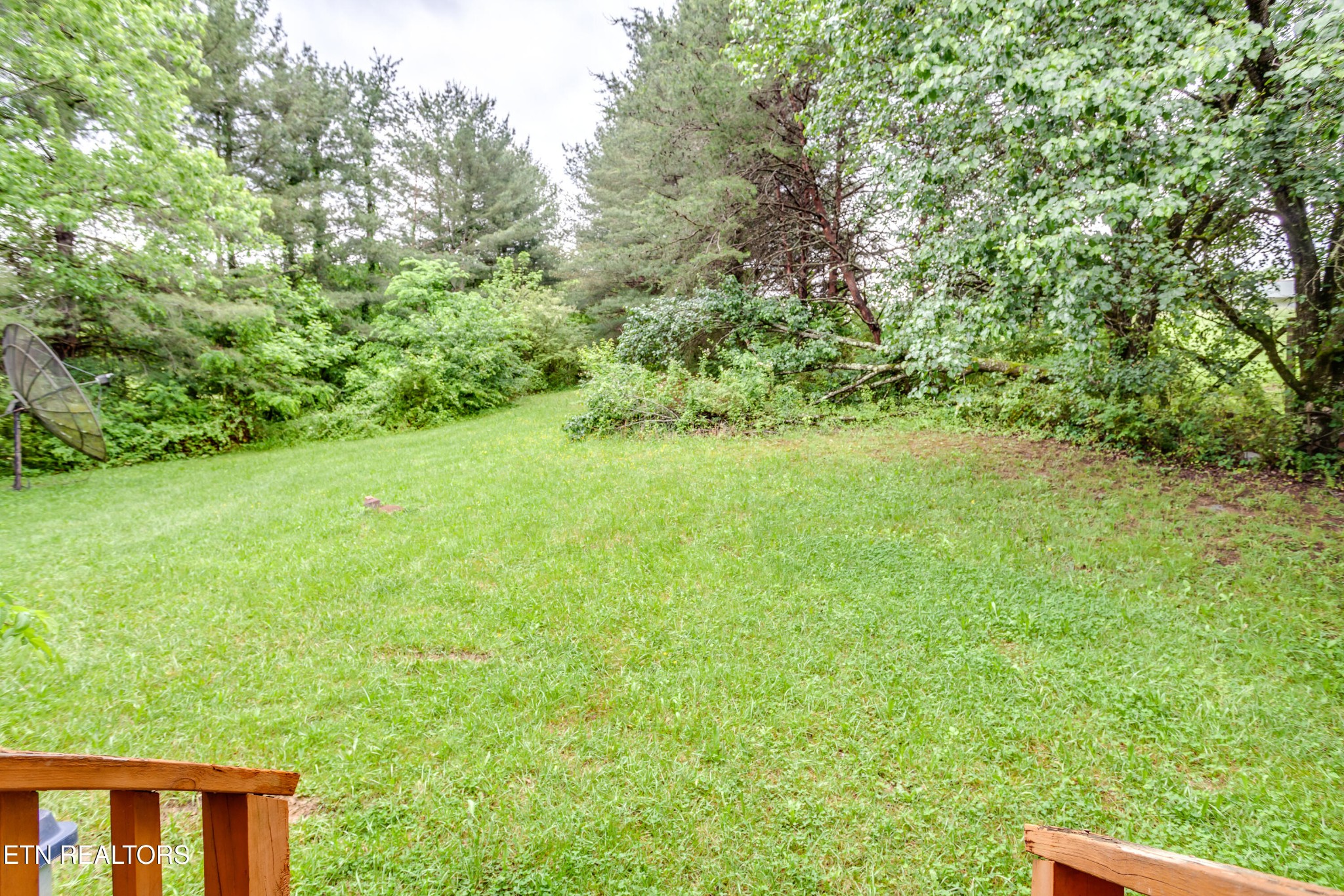 375 Rainbow Road Sevierville, TN 37862 - Photo 40 of 58 a view of a yard with a trees