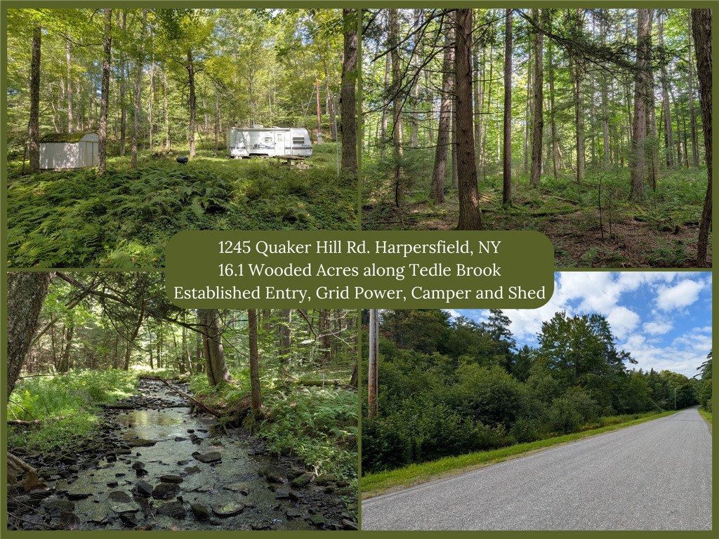 1245 Quaker Hill Road Jefferson, NY 12093 - Photo 1 of 41 Gallery Image 1