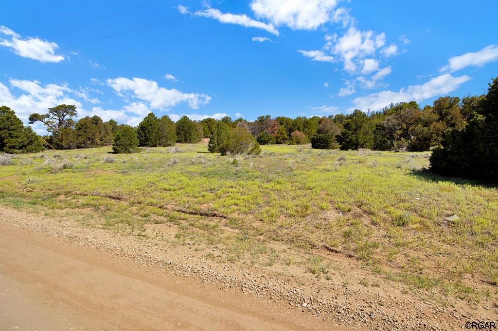 Tbd Tbd Navajo Ranch Walsenburg, CO 81089 - Photo 11 of 14 Gallery Image 11