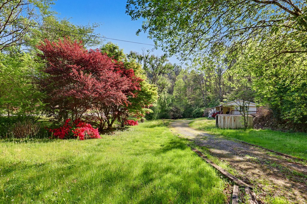 20 Bates Creek Road Murphy, NC 28906 - Photo 42 of 47