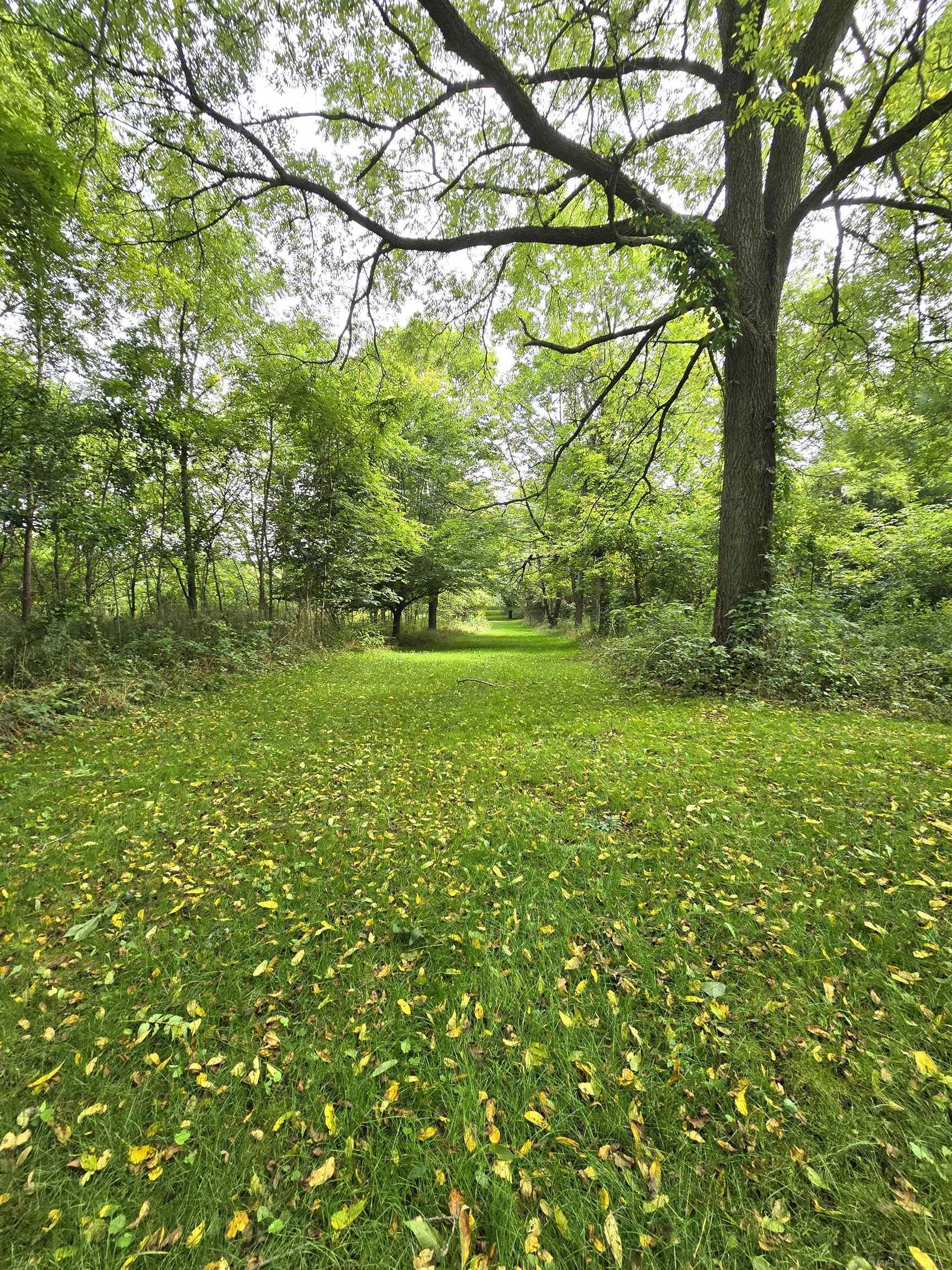 4883 Rochester Road Dryden, MI 48428 - Photo 13 of 87