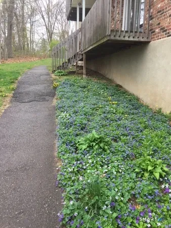 a view of a pathway of a house with a yard