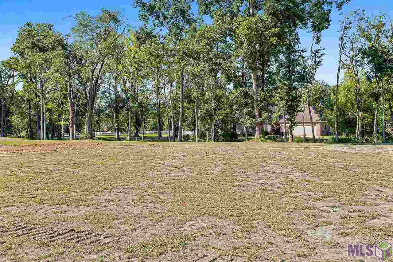 Lot A-3 Bluff Road Geismar, LA 70734 - Photo 15 of 17 Gallery Image 15