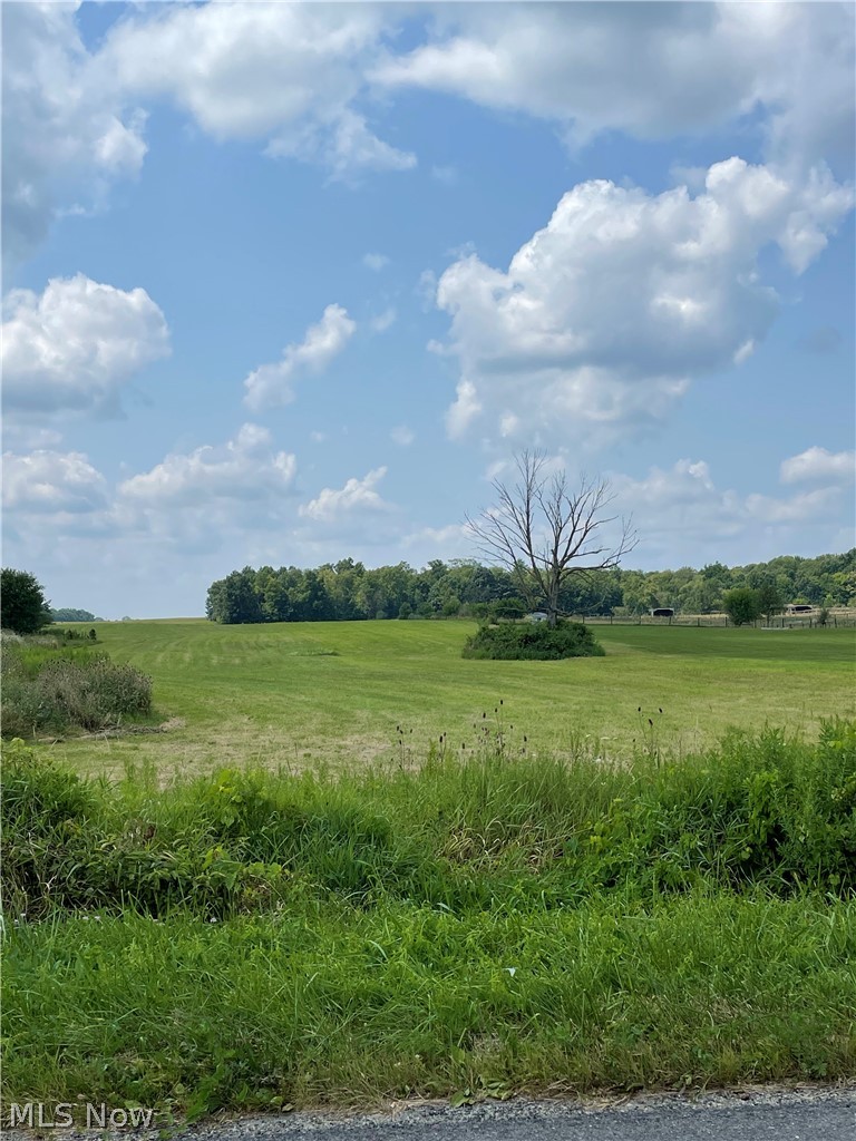 Congress Road Lodi, OH 44254 - Photo 1 of 16 Gallery Image 1