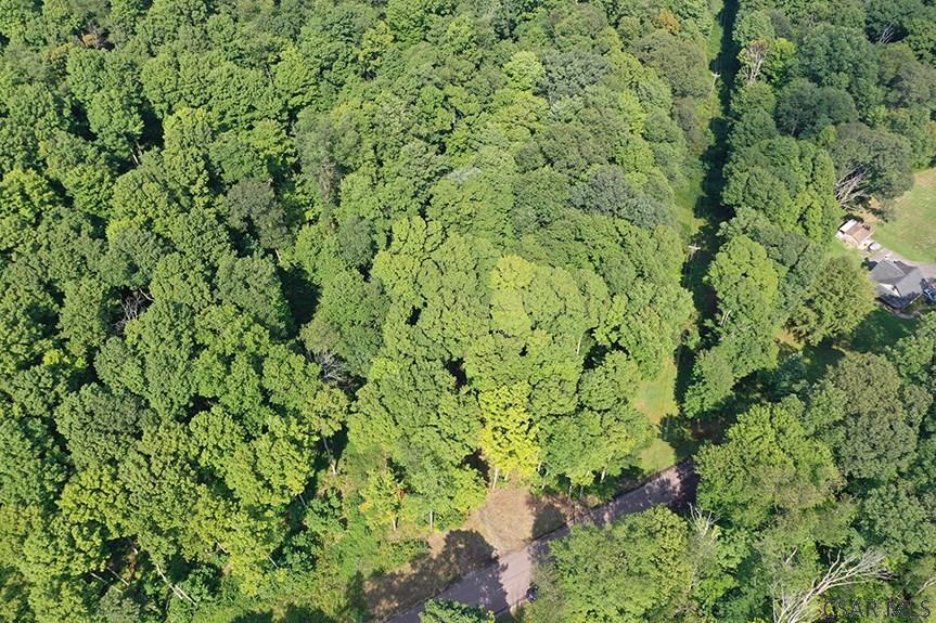 Ridge Road Rockwood, PA 15557 - Photo 13 of 22
