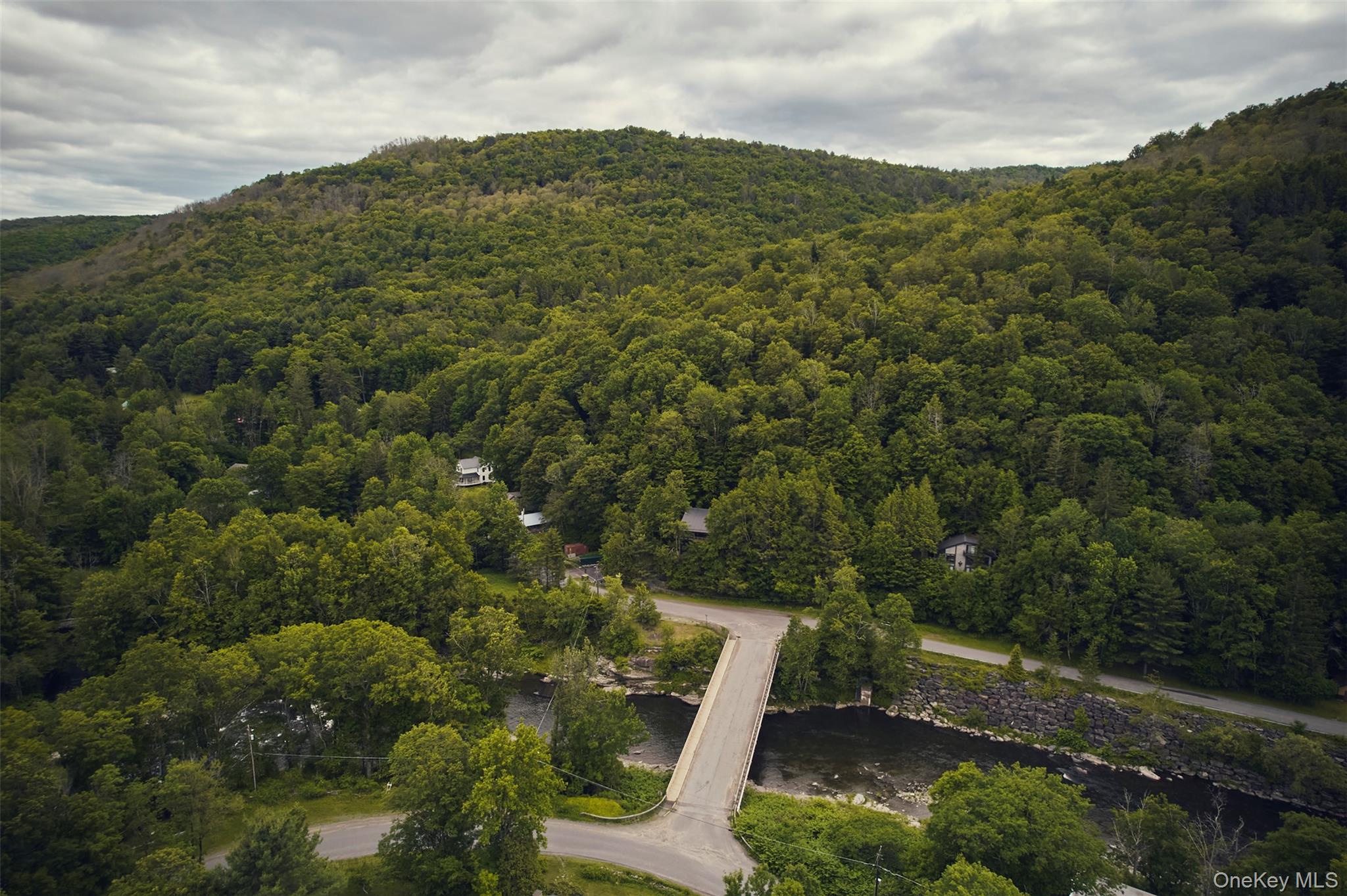 82 Cooks Brook Road Roscoe, NY 12776 - Photo 48 of 50