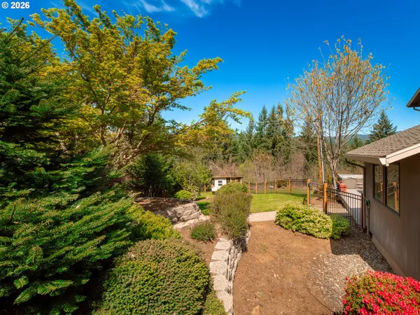 a view of a yard with plants