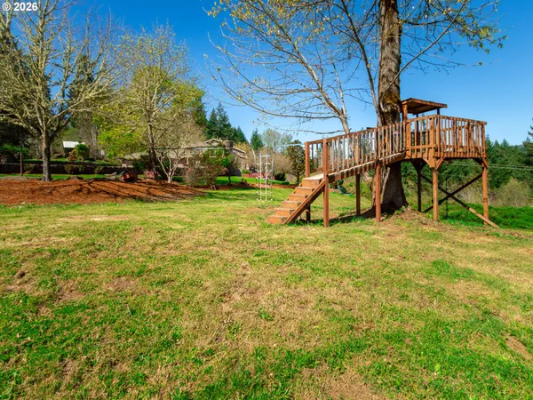 a view of outdoor space with a large tree