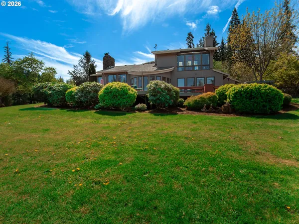 a view of a big yard with plants and large trees