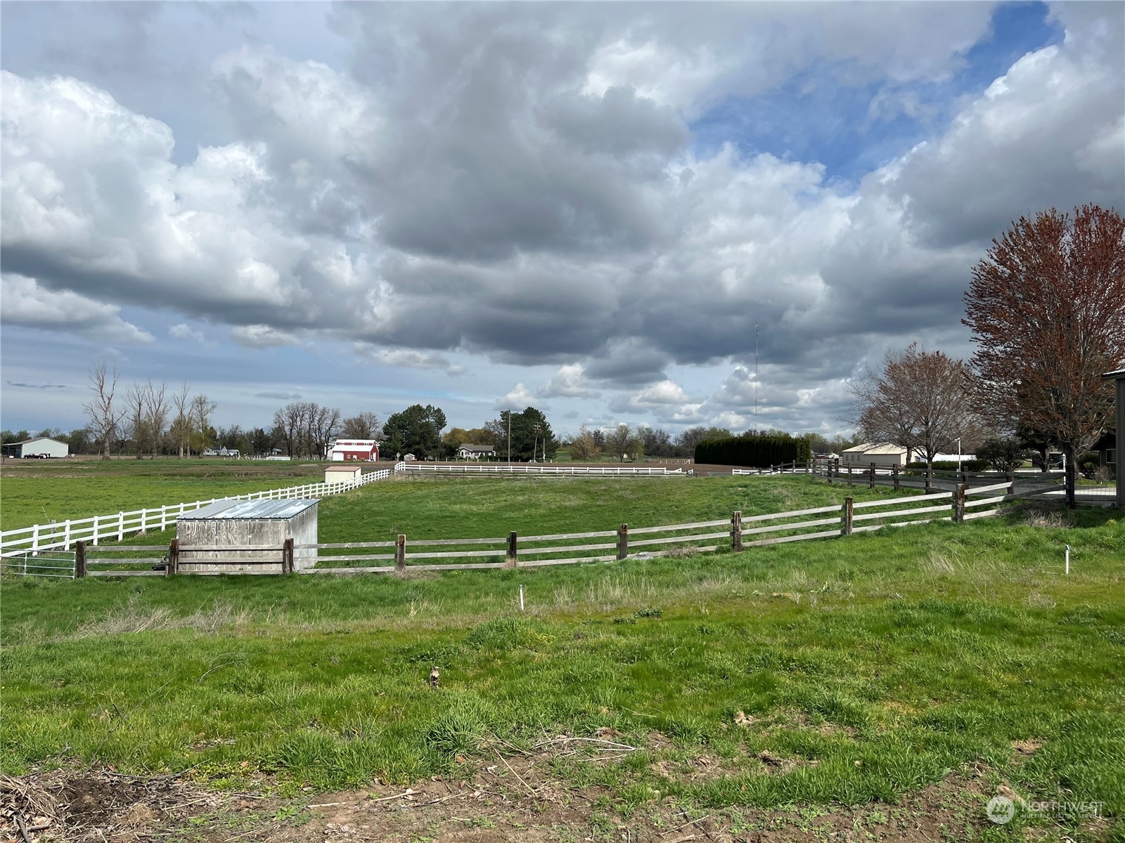 1479 Spring Branch Road Walla Walla, WA 99362 - Photo 38 of 40 a view of park with bench and trees