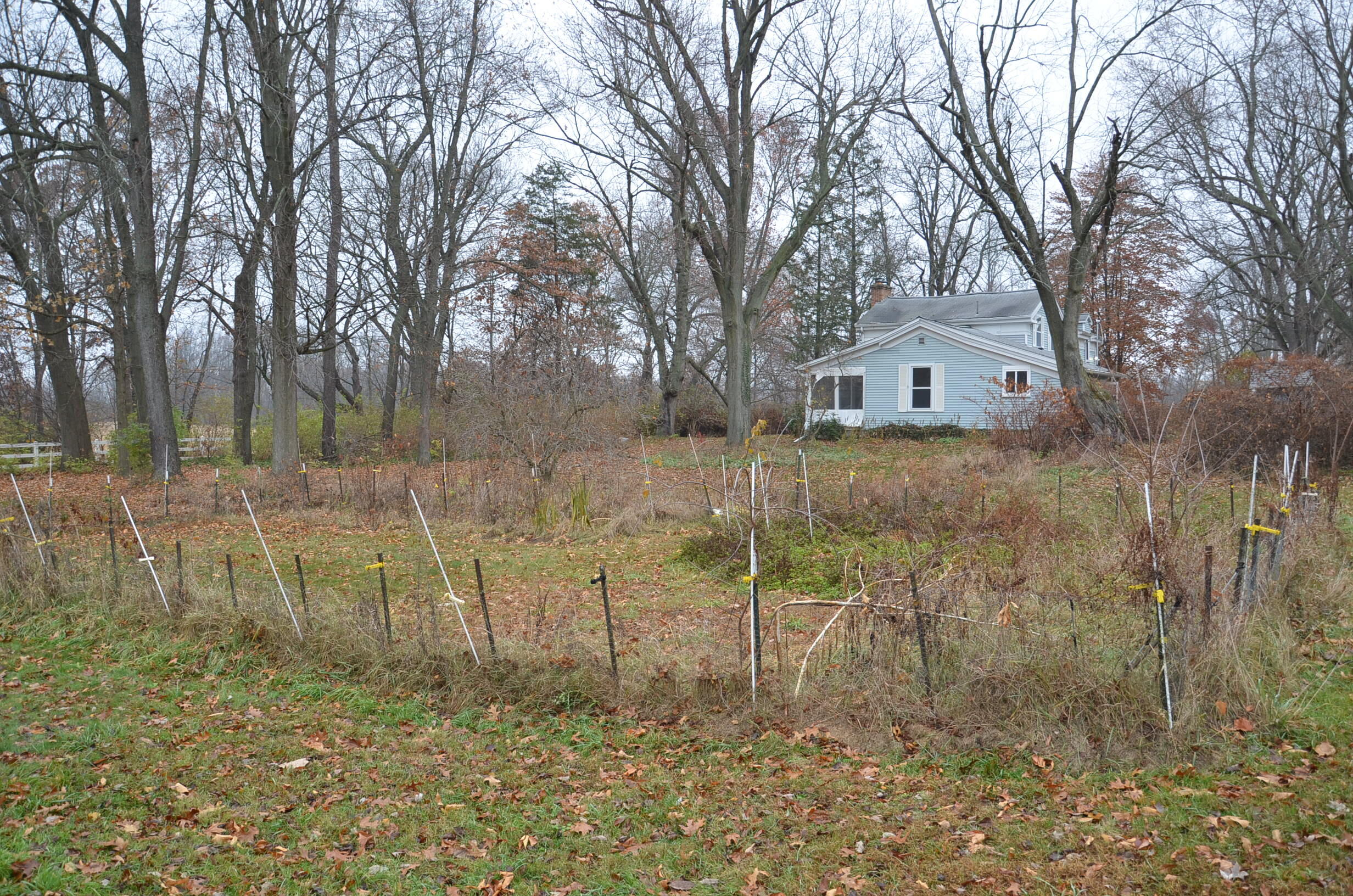 3366 Ludlow Road Albion, MI 49224 - Photo 30 of 50 DSC_5470