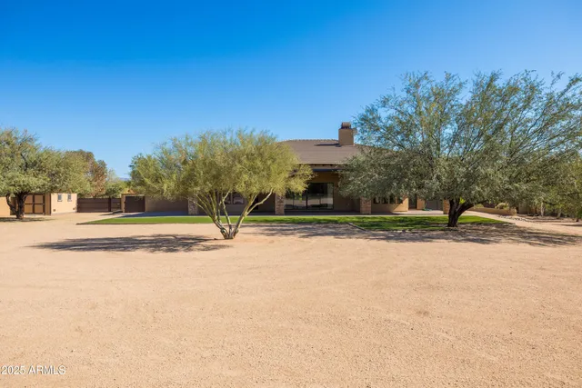 a view of a yard with plants