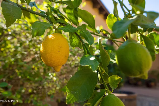 $1,100,000 | 29704 North 156th Street, Scottsdale, AZ 85262