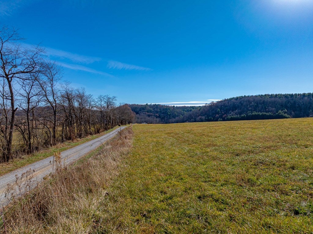 Tbd Gap Of Ridge Road Rural Retreat, VA 24368 - Photo 20 of 85 Gallery Image 20