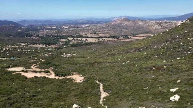 a view of city and mountain