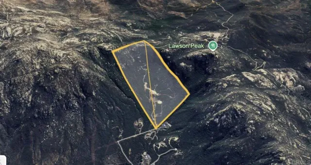 a view of a tree with a yard