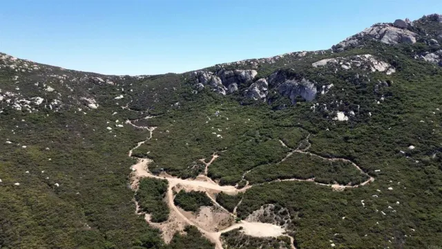 a view of a tree in a field