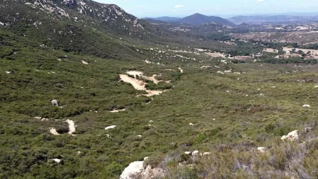 a view of a swimming pool with a yard