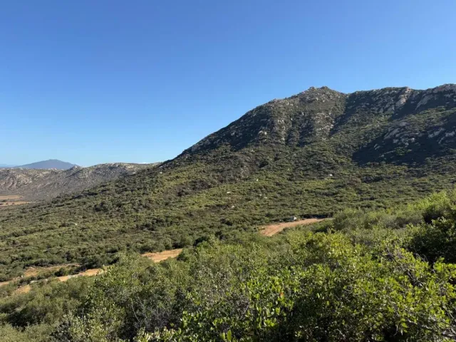 a view of a city with lush green forest