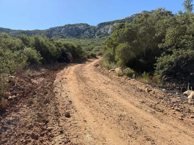 a view of a dry yard