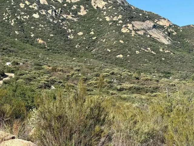 a view of a house with a park