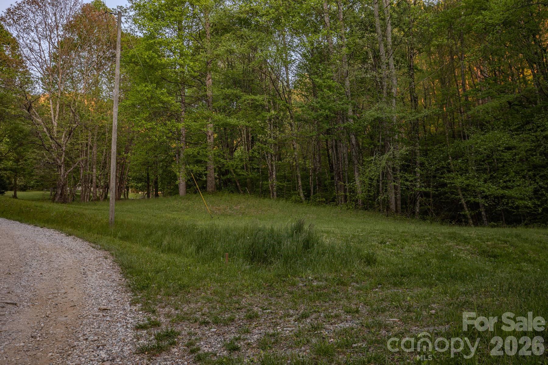 0 Unahala Creek Road Bryson City, NC 28713 - Photo 7 of 14