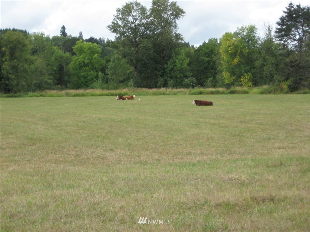 1934 Rice Road Chehalis, WA 98532 - Photo 12 of 15 a view of outdoor space and yard