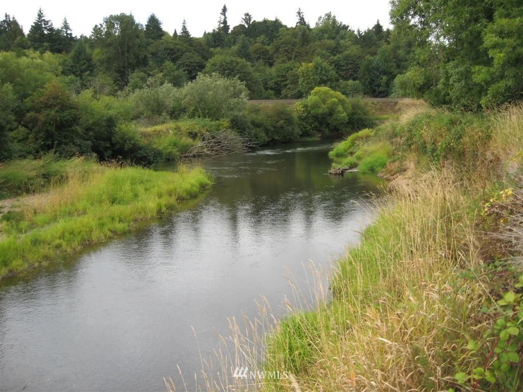 1934 Rice Road Chehalis, WA 98532 - Photo 14 of 15 a view of a lake with a forest