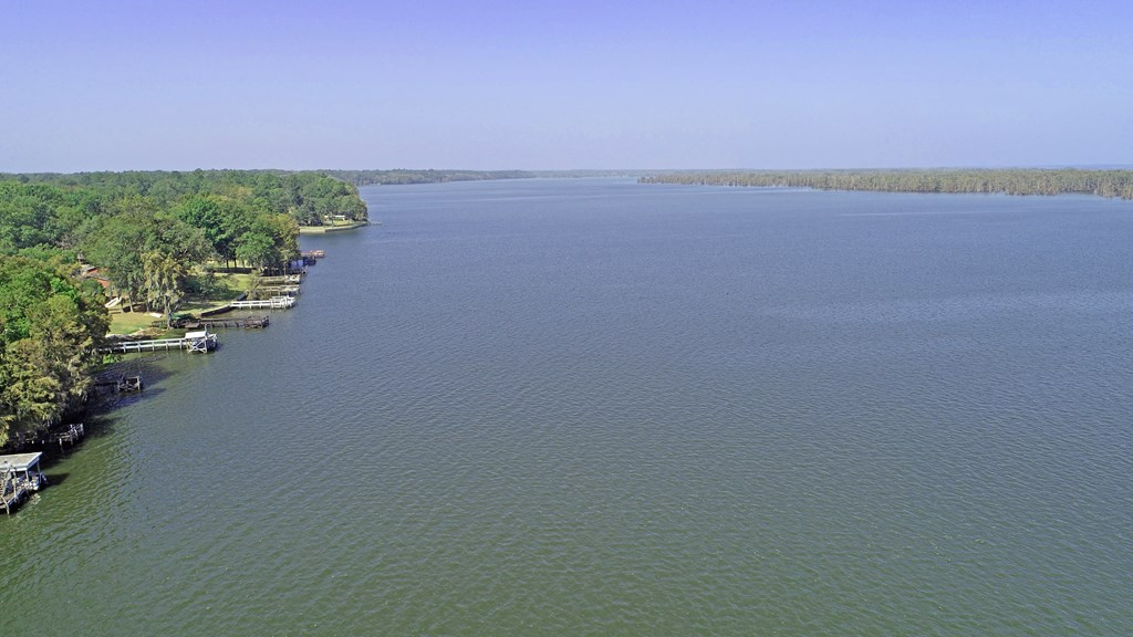 733 Stumphole Road Elloree, SC 29047 - Photo 5 of 18 Gallery Image 5
