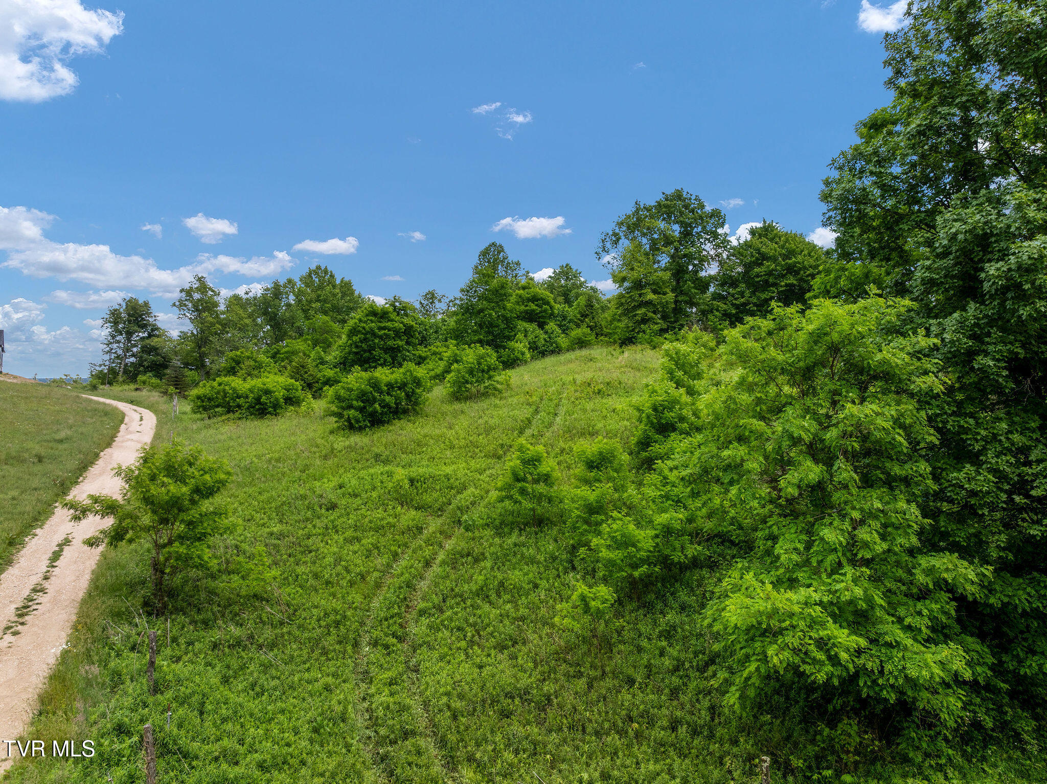 Tbd Walnut Mountain Road Butler, TN 37640 - Photo 4 of 36 DJI_0368