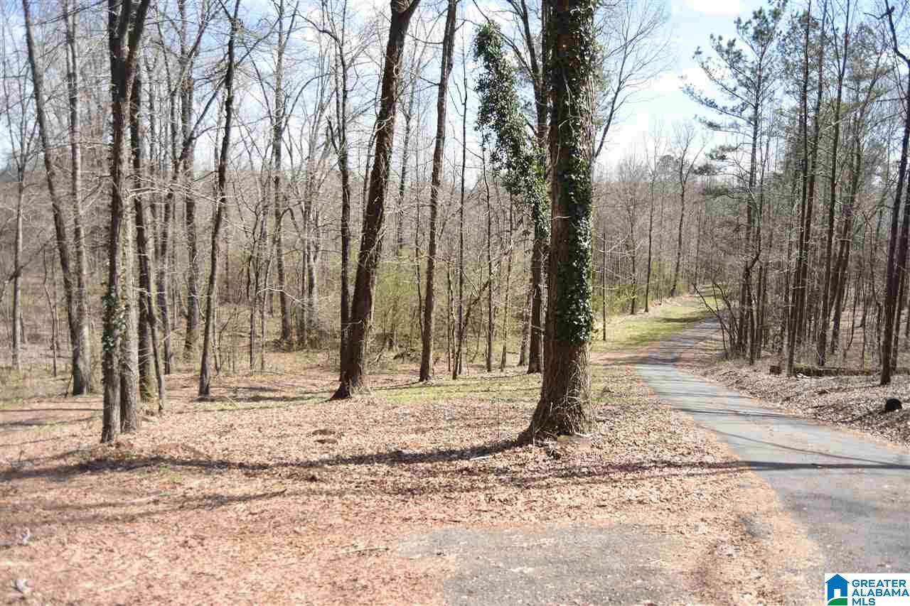 11392 Highway 9 Delta, AL 36258 - Photo 7 of 49