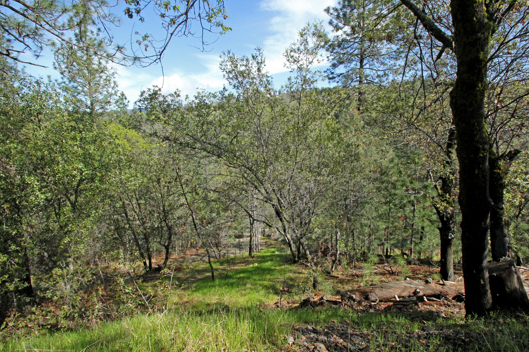 22183 Sunshine Way Redding, CA 96003 - Photo 14 of 28 Green and Private