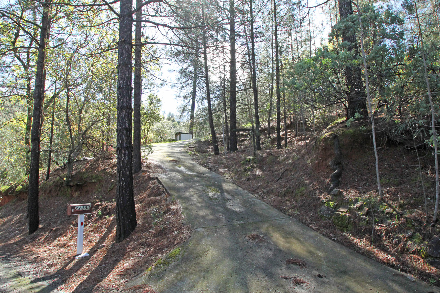 22183 Sunshine Way Redding, CA 96003 - Photo 2 of 28 Driveway